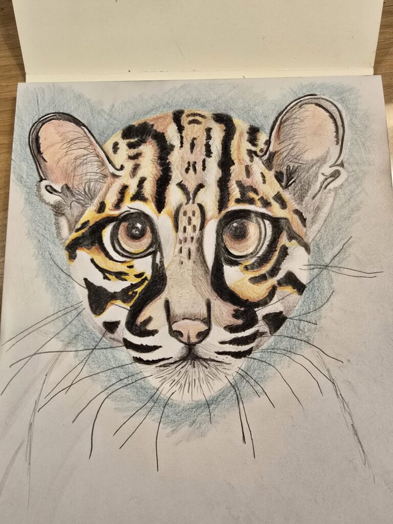 Ocelot tekening